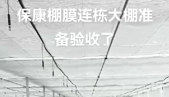 ?？蹬锬みB棟大棚準(zhǔn)備驗(yàn)收